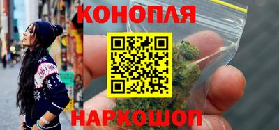 шишки Будённовск