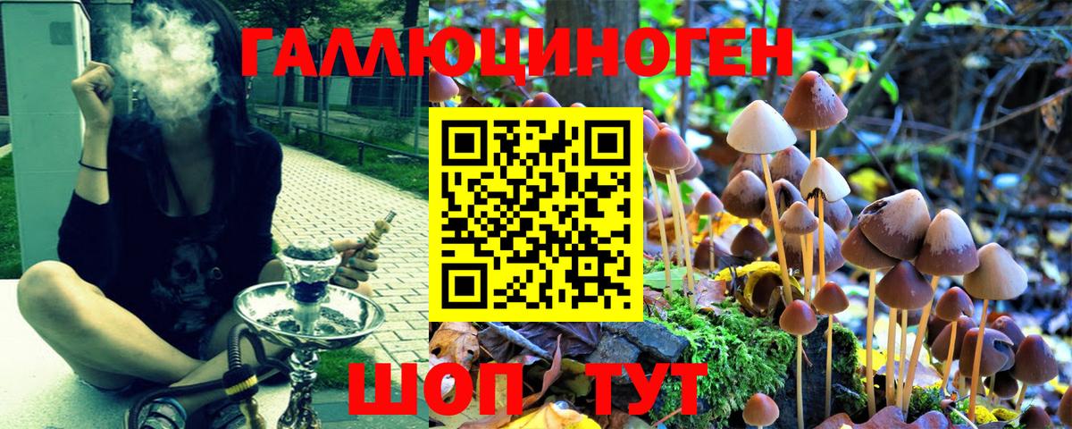 Галлюциногенные грибы Cubensis  Вход с VPN  Куйбышев 